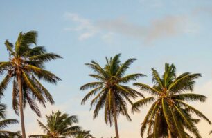 Photo 1 de l'album 9